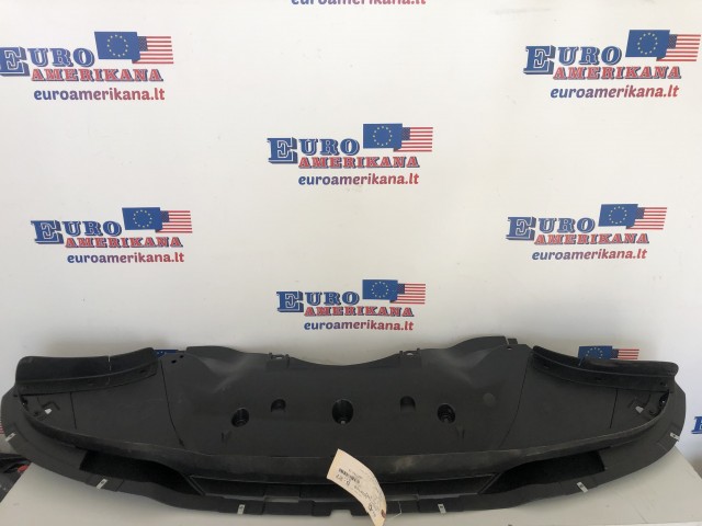 Front Shield 